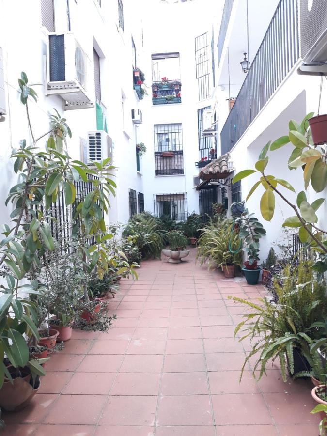 Apartament Apartamento Centro Juderia Kordoba Zewnętrze zdjęcie